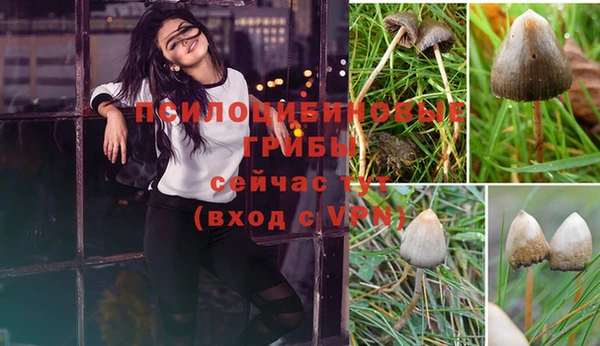 mix Козельск