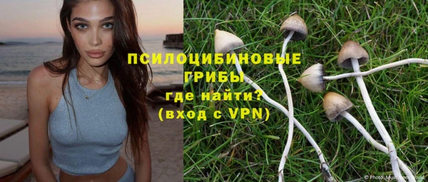 mix Козельск