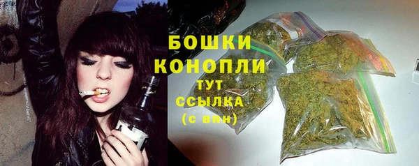 mix Козельск