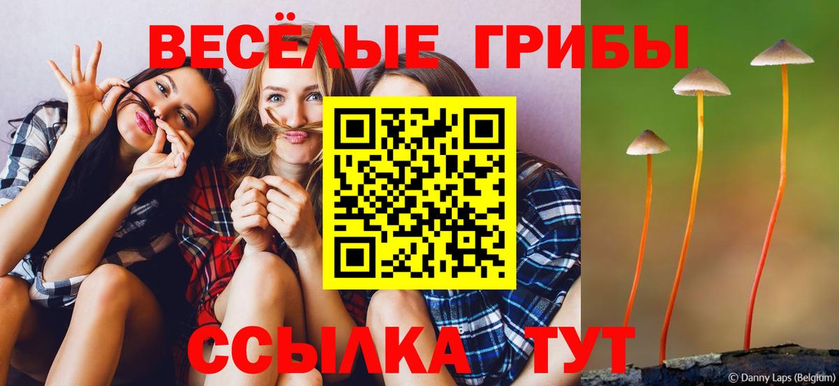 Псилоцибиновые грибы мицелий  Вход с VPN  Красноярск  Псилоцибиновые грибы Psilocybe 