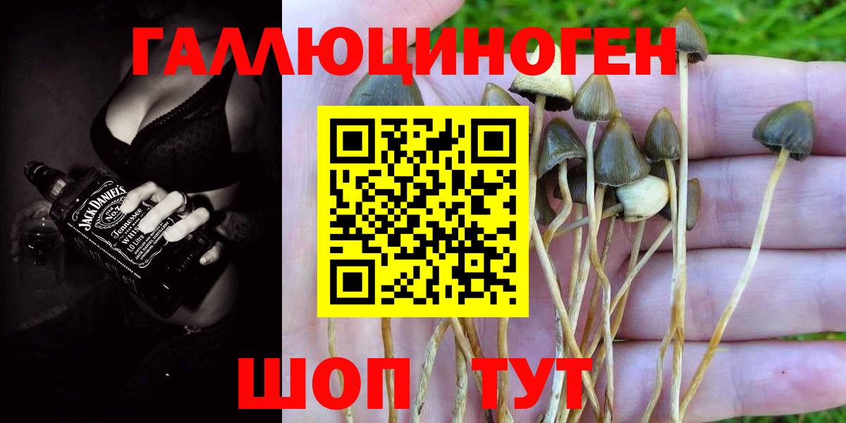 Галлюциногенные грибы мухоморы Красноярск